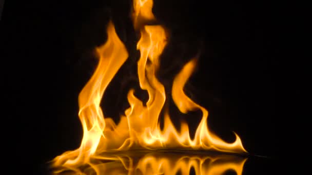 Fire isolated over black background. slow motion — Stock Video