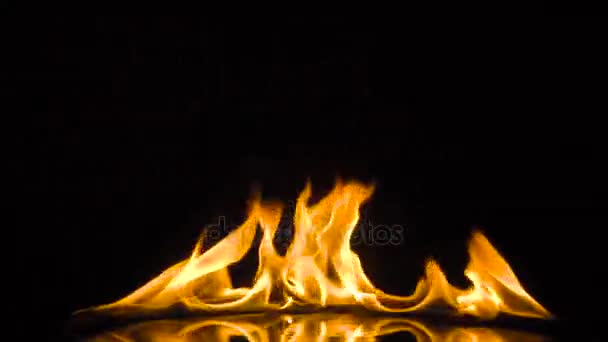 Elszigetelt tűz fölött fekete háttér. lassú mozgás — Stock videók