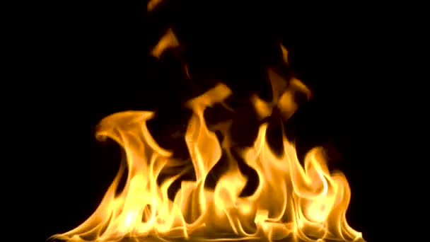검은 배경 위에 절연 화재. 슬로우 모션 — 비디오