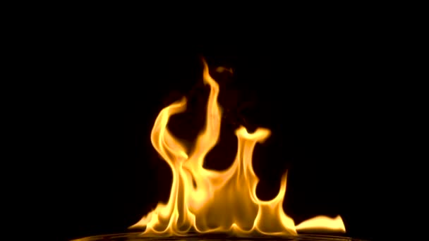 Feuer isoliert über schwarzem Hintergrund. Zeitlupe — Stockvideo