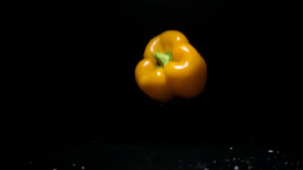 Paprika isolated on black background. Water is pouring on top. — Stock Video