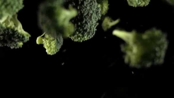 Flores de brócoli verde. brócoli sobre fondo negro — Vídeos de Stock