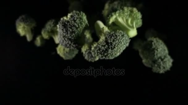 Zöld brokkoli florets. fekete alapon brokkoli — Stock videók