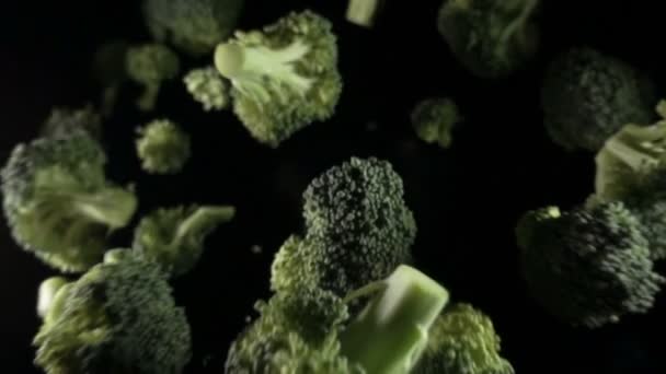 Brócoli girando sobre fondo negro — Vídeos de Stock