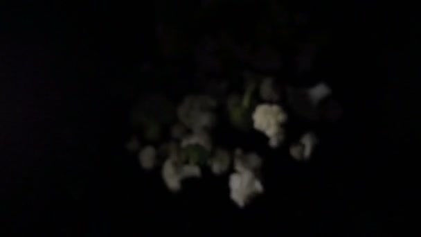 Blumenkohl fällt vor schwarzem Hintergrund in die Luft. Zeitlupe. — Stockvideo