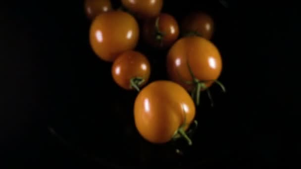 在黑色背景上的一个孤立的下落的蕃茄 — 图库视频影像