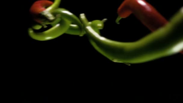 Κόκκινες και πράσινες πιπεριές τσίλι σε μαύρο φόντο — Αρχείο Βίντεο