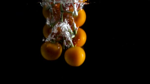 Tomaat onder water. Cherry de tomaat in het water. Scheutje water. Slow motion — Stockvideo