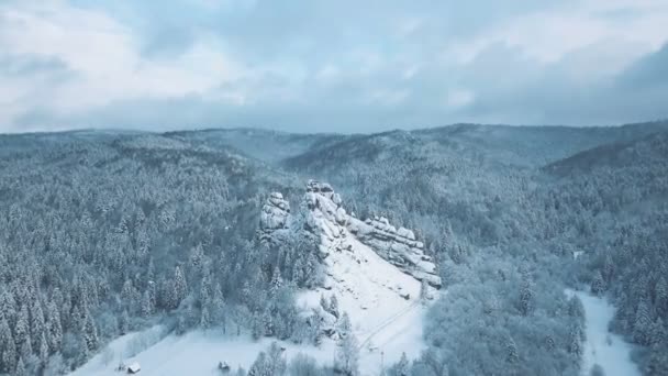 Winter in Carpathian Mountains (en inglés). Disparo aéreo de gran altitud . — Vídeo de stock