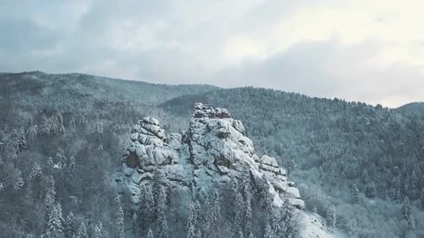 Vinter i Karpaterna. Hög höjd antenn skott. — Stockvideo