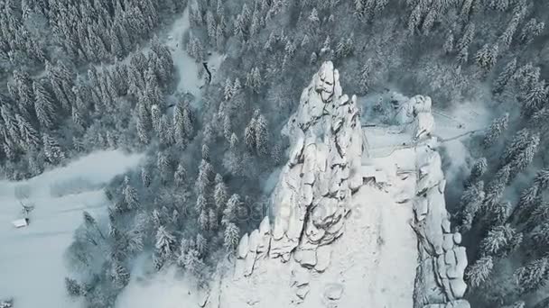 Inverno nelle montagne dei Carpazi. Colpo aereo ad alta quota . — Video Stock