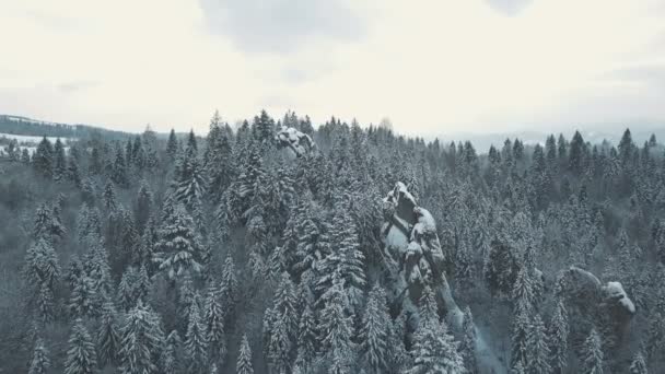 Zima v Karpatských horách. Průlezy a výškově letecký snímek. — Stock video