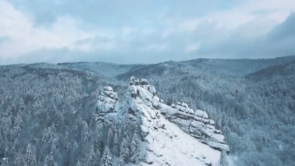 冬の山々、高山草原 - 地平線、野性生物の美雪をかぶった山と巨大な松の木に覆われた丘の空撮. — ストック動画