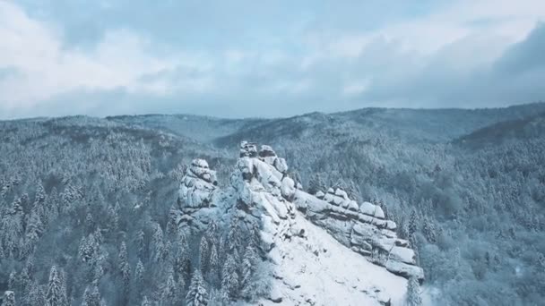 Vista aérea de montanhas de inverno, prado alpino - colinas cobertas com enormes pinheiros e picos cobertos de neve no horizonte, beleza da vida selvagem . — Vídeo de Stock