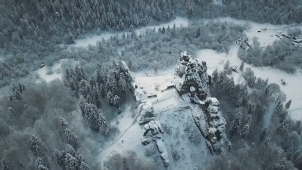 Flygfoto över vintern berg, alpina äng - kullar täckta med stora tallar och snöklädda toppar vid horisonten, skönhet av vilda djur. — Stockvideo