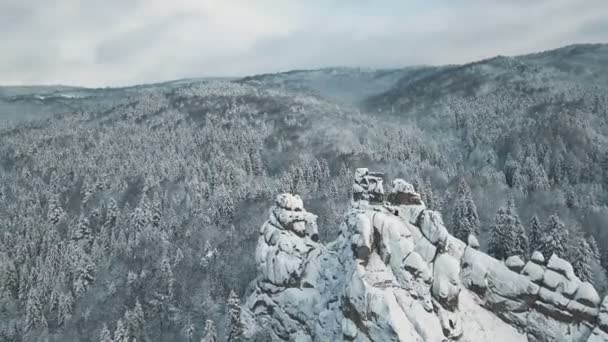 Flygfoto över vintern berg, alpina äng - kullar täckta med stora tallar och snöklädda toppar vid horisonten, skönhet av vilda djur. — Stockvideo