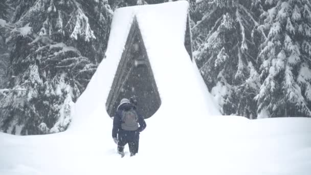 Bir sırt çantası ile profesyonel fotoğrafçı için iğne yapraklı orman bir kar fırtınası, kış macera sonra gider.. — Stok video