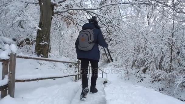 Fotógrafo en montaña de invierno. hombre barbudo camina a través del bosque de invierno en los Cárpatos de Ucrania . — Vídeo de stock