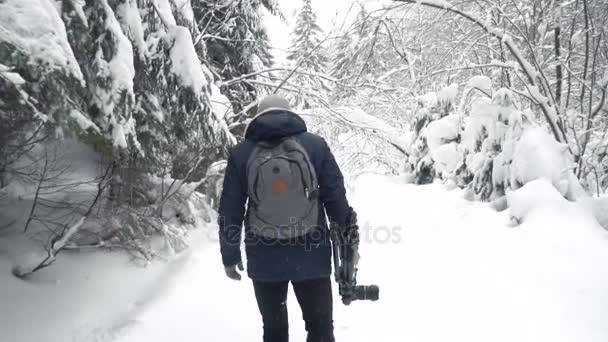 Fotógrafo profesional del paisaje caminando por el bosque de abeto en invierno. cámara lenta — Vídeo de stock