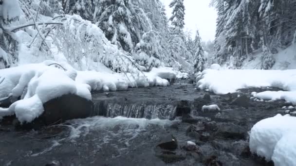 Färgglada vinter soluppgång landskap i bergen, floden i skogen vinter, Europa turism, resa världen. — Stockvideo