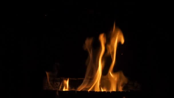 Ogień w kominku - bliska w zwolnionym tempie — Wideo stockowe