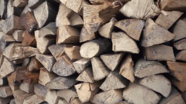 Stapel logboeken gehakte bomen — Stockvideo