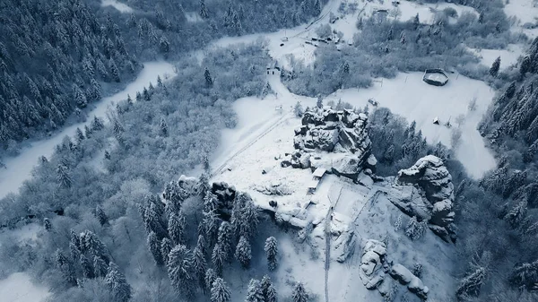 Top view of forest river in winter. Concept of winter tourism. — Stock Photo, Image