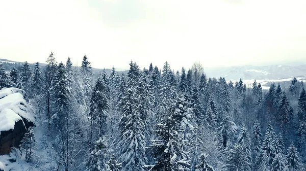 Blick von oben auf Waldfluss im Winter. Konzept des Wintertourismus. — Stockfoto