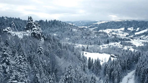 Winterschneebäume. Luftbild überfliegen. tustan — Stockfoto