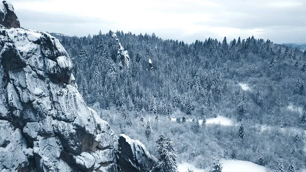 Winterschneebäume. Luftbild überfliegen. tustan — Stockfoto