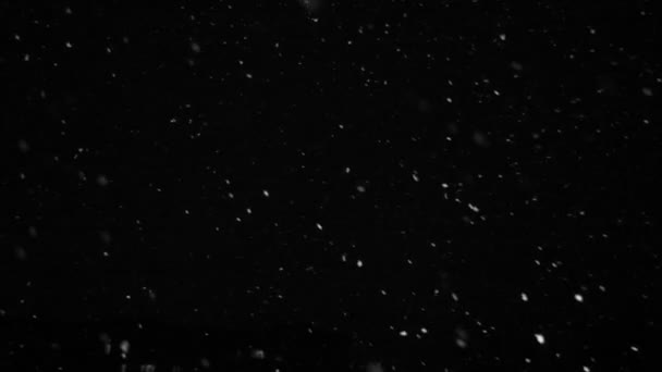 Vinter snöfall. Snö Slow motion filmade på 250fps utomhus med studioljus — Stockvideo