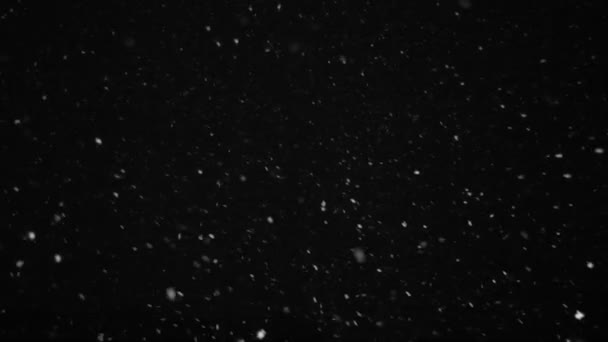 Nieve de invierno. Snow Slow motion filmado a 250fps al aire libre con iluminación de estudio — Vídeos de Stock