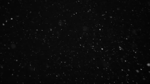 Vinter snöfall. Snö Slow motion filmade på 250fps utomhus med studioljus — Stockvideo