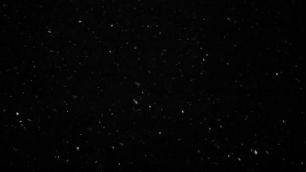 Chute de neige hivernale. Snow Slow motion filmé à 250ips à l'extérieur avec éclairage studio 