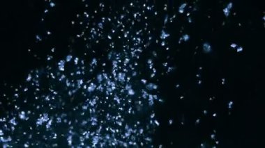 4 k soyut hareket arka ışık, parlayan yıldız, parçacıklar, ışınları, döngü,.