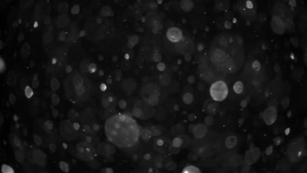 Bokeh Abstract Moving Particles Background — Stock Video