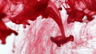 Yoğun kan beyaz karşı. Makro