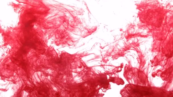 Tinta vermelha como sangue caído na água, câmera lenta no fundo branco — Vídeo de Stock