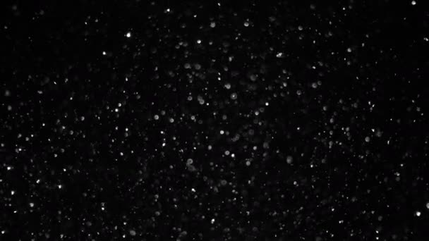 Vita mikropartiklar i flykten. Små vita partiklar flyta i luften på en svart bakgrund. Slow Motion — Stockvideo