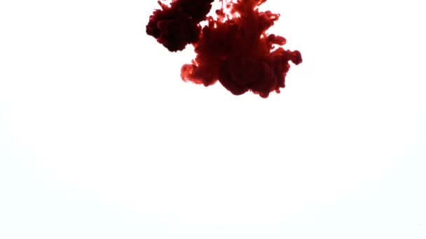 Red Color paint flowing in water. Color jet of ink pigments creates organic sculptures under water. Blood. — Stock Video