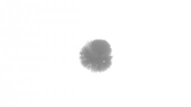 Mürekkep mürekkep Bleed Bloom siyah beyaz genişleyen damla