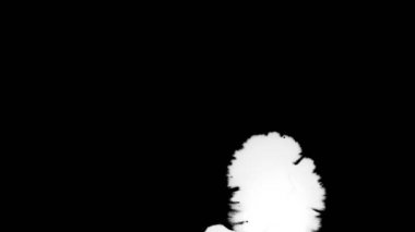 Güzel beyaz suluboya mürekkep geçiş siyah arka plan üzerine düşerse, boya bleed Bloom, genişleyen, saf sıçramak yayılan daire organik akışına. Hareketli grafik, dijital kompozisyon için mükemmel.