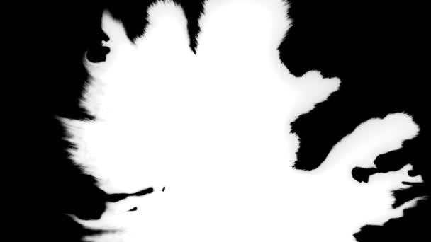 Bellissimo inchiostro ad acquerello bianco gocce transizione su sfondo nero, vernice sanguinamento Bloom, con cerchio flusso organico in espansione, diffusione splatter puro. Perfetto per la grafica di movimento, composizione digitale . — Video Stock