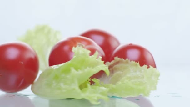 Tomat grönsaker och sallad sallad isolerad på vit bakgrund — Stockvideo