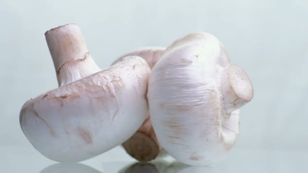 Los champiñones giran sobre un fondo blanco. de cerca — Vídeo de stock