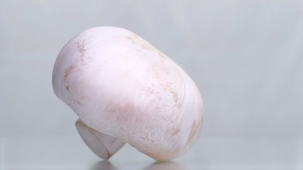 Champignons rotera på en vit bakgrund. närbild — Stockvideo