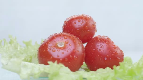 Салат из помидоров и салата на белом фоне — стоковое видео
