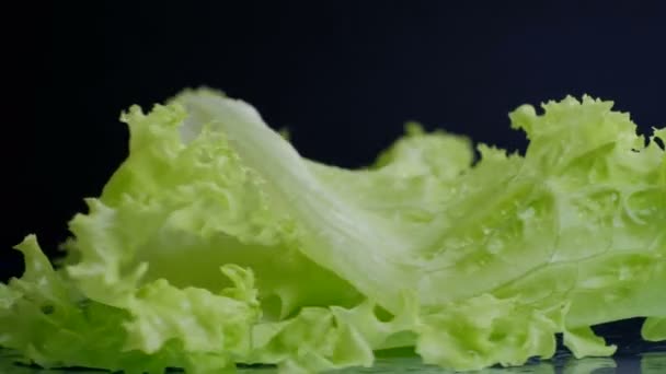 新鲜生菜沙拉叶子关闭, 在旋转, 黑色背景 — 图库视频影像