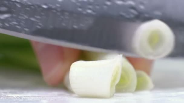 Corte as cebolas verdes com uma faca no tabuleiro. Cortar verde sem as mãos na moldura. Chef corta os ingredientes para a sopa. Fechar — Vídeo de Stock