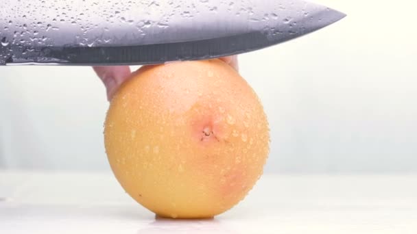 Grapefruit fillets and half of a red grapefruit on a marble chopping board and white background 4K — Stock Video